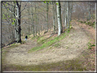 foto Parco Wilhelmshöhe in Inverno